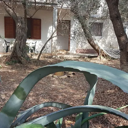 Stjepan * Sućuraj